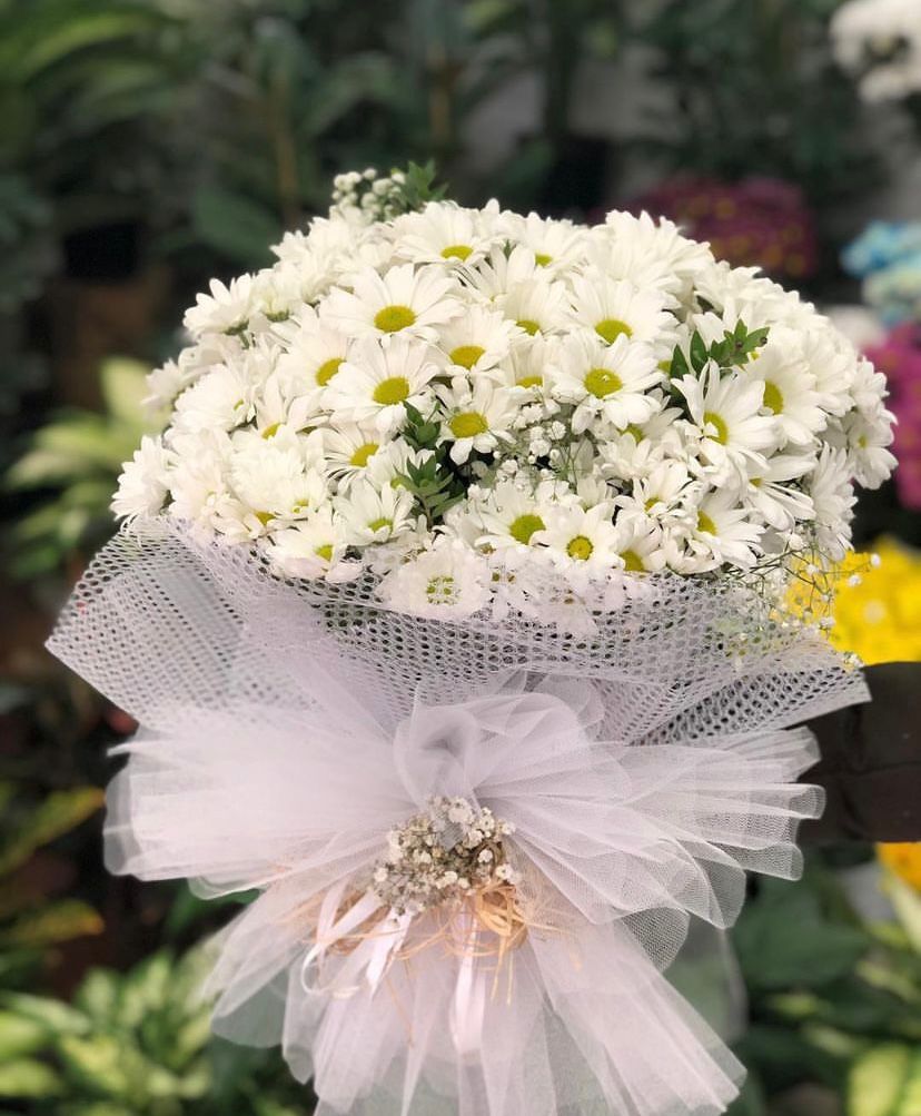 Zarif Beyaz Papatya Buketi – Özel Tasarım Tüllü Aranjman