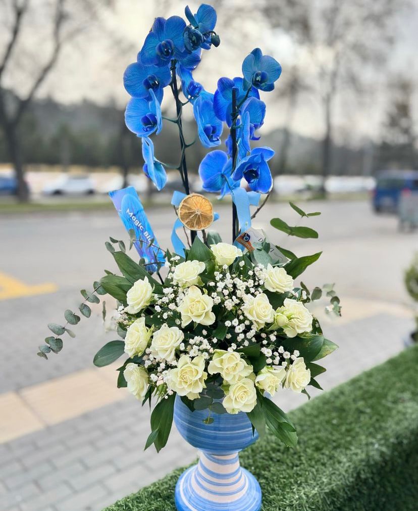 Premium Mavi Orkide & Krem Gül Seramik Vazolu Aranjman – Özel Tasarım
